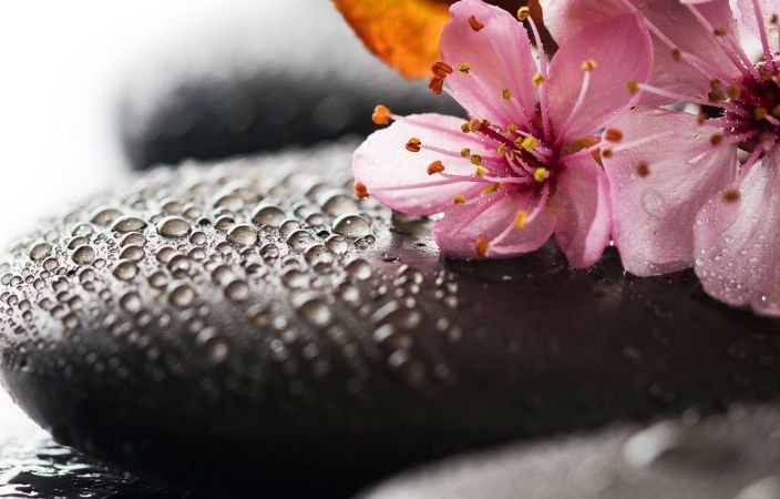 Hot Stone Massage (Demo)